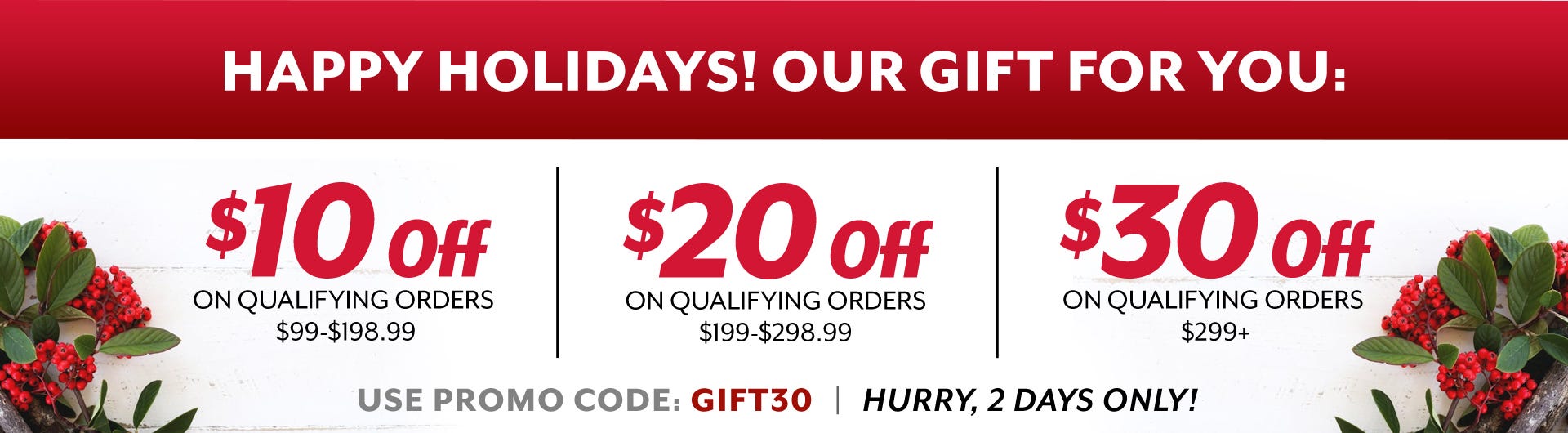 Happy Holidays 2 day Promotion