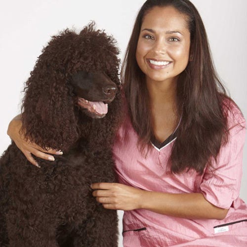 Six Essential Pet Grooming Do’s and Don’ts for Professionals