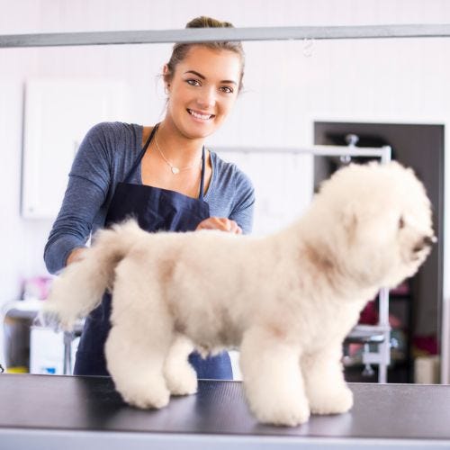 Wait it Out: A Self-Care Strategy for People-Pleasing Groomers