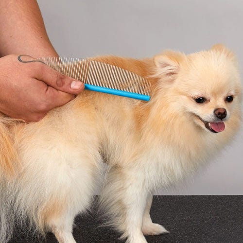 Lessons in Line Brushing: Master the Art of Tangle-Free Grooming