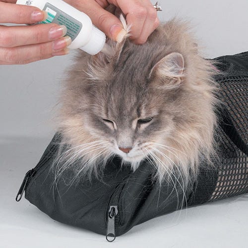 Essential Cat Grooming Tips