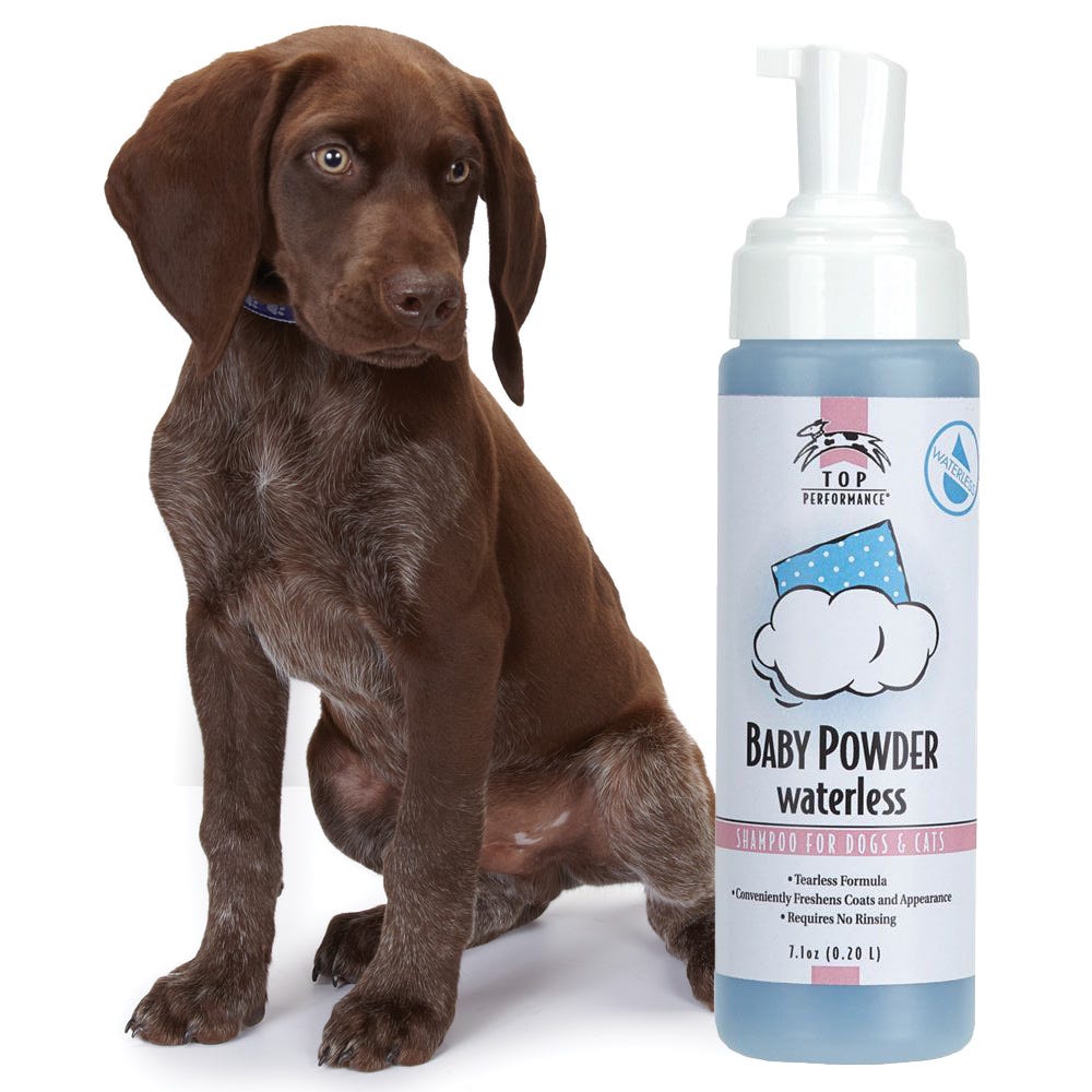Puppy Shampoo & Conditioner