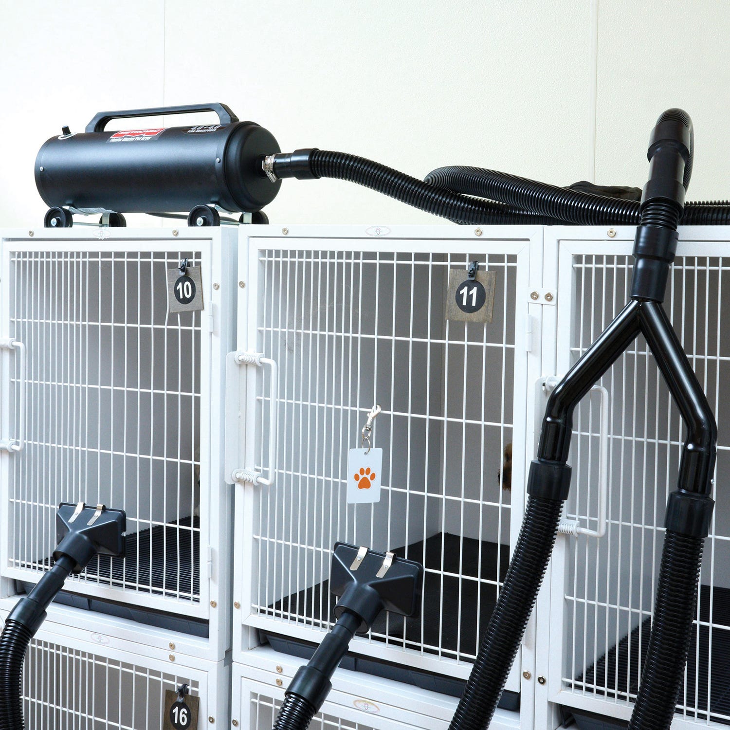 Cage drying dogs discount