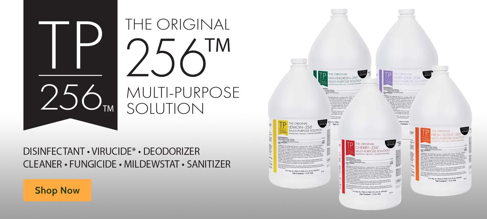 TP256